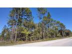 Plot For Sale In Dunnellon, Florida