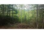 Plot For Sale In Whittier, North Carolina