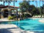 2151 Chianti Pl #122 Palm Harbor, FL