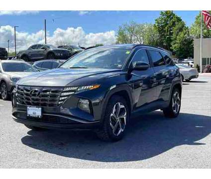 2023 Hyundai Tucson Limited is a Grey 2023 Hyundai Tucson Limited SUV in Utica NY