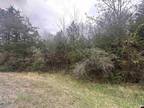 Plot For Sale In Flippin, Arkansas