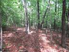 Plot For Sale In Cleveland, South Carolina
