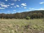 Plot For Sale In Campbell, New York