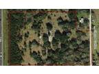 Plot For Sale In Dade City, Florida
