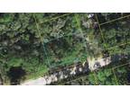 Plot For Sale In Crawfordville, Florida