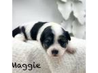 Maggie