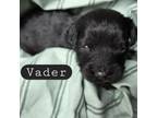 Vader