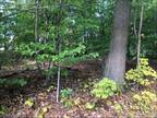 Plot For Sale In West Milford, New Jersey