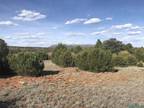 Plot For Sale In Las Vegas, New Mexico