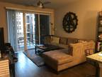 DT Raleigh Apt for lease take over