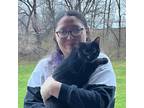Experienced and Affordable Pet Sitter in Macomb, IL - Daily Rate $15