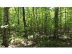 Plot For Sale In Spencer, Tennessee