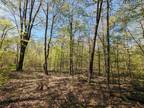 Plot For Sale In Andover, New York