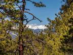 Plot For Sale In Evergreen, Colorado