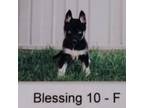 Blessing 10