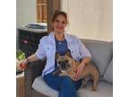 Experienced and Reliable Pet Sitter in Stockton & Lodi CA