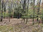 Plot For Sale In Farwell, Michigan