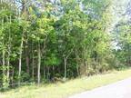 Plot For Sale In Lawndale, North Carolina