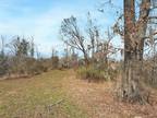 Plot For Sale In Lorman, Mississippi