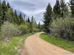 Plot For Sale In Red Feather Lakes, Colorado