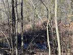 Glennie, Very nice, wooded 5-acre parcel just off of