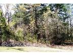 Land for Sale by owner in Florahome, FL