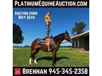 12.2H, Ranch Pony, Must See! Online Auction!