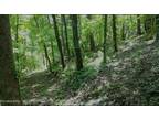 Plot For Sale In Luttrell, Tennessee