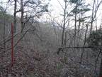 Plot For Sale In Flippin, Arkansas