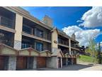 20 Hunter Hill Rd #107, Crested Butte, CO 81225