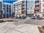 The Marq. Apartments - 4781 Alicia Drive - Virginia Beach