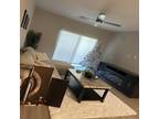 Furnished Chandler Area, Phoenix Area room for rent in 2 Bedrooms