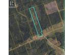 Lot Route 480, Acadieville, NB, E4Y 2B2 - vacant land for sale Listing ID