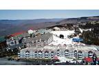 347 Mountain Lodge, Snowshoe, WV 26209 640742900