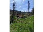 Plot For Sale In Priest River, Idaho