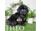 Theo