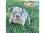 Vince