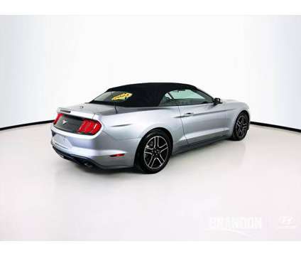 2023 Ford Mustang EcoBoost Premium Convertible is a Silver 2023 Ford Mustang EcoBoost Convertible in Tampa FL