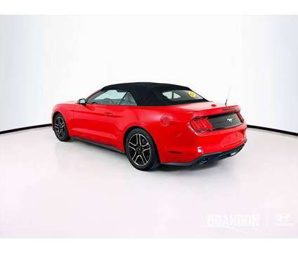 2023 Ford Mustang EcoBoost Premium Convertible is a Red 2023 Ford Mustang EcoBoost Convertible in Tampa FL