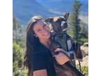 Experienced Pet Sitter in Fort Collins, CO - Trustworthy Care at $30/Day