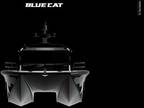 Blue Cat 43 Pilothouse