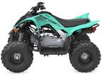 2024 Yamaha Raptor 110 ATV for Sale