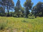 Plot For Sale In Clearlake, California