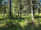 Plot For Sale In Saint Regis, Montana