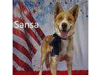 Adopt Sansa a Shepherd