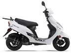 2024 Wolf Brand Scooters Wolf RX-50