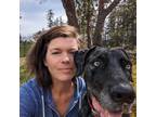 Experienced and Reliable Pet Sitter in Twillingate, NL for $45/Day - Book Today!