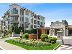 15 Kensington Rd #303, Bronxville, NY 10708 - MLS H6302079