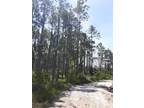 1.25 Acres for Sale in Palatka, FL