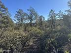 Plot For Sale In Payson, Arizona